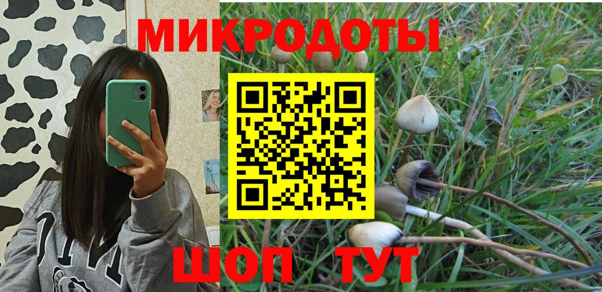 купить закладку  Галлюциногенные грибы Psilocybe  Вход с VPN  Майский  Псилоцибиновые грибы MAGIC MUSHROOMS 